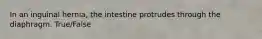 In an inguinal hernia, the intestine protrudes through the diaphragm. True/False