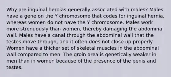 Why are inguinal hernias generally associated with males? Males have a gene on the Y chromosome that codes for inguinal hernia, whereas women do not have the Y chromosome. Males work more strenuously than women, thereby damaging the abdominal wall. Males have a canal through the abdominal wall that the testes move through, and it often does not close up properly. Women have a thicker set of skeletal muscles in the abdominal wall compared to men. The groin area is genetically weaker in men than in women because of the presence of the penis and testes.