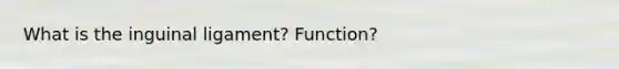 What is the inguinal ligament? Function?