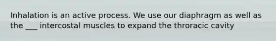 Inhalation is an active process. We use our diaphragm as well as the ___ intercostal muscles to expand the throracic cavity