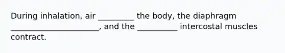 During inhalation, air _________ the body, the diaphragm ______________________, and the __________ intercostal muscles contract.