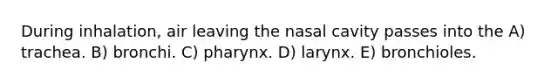 During inhalation, air leaving the nasal cavity passes into the A) trachea. B) bronchi. C) pharynx. D) larynx. E) bronchioles.