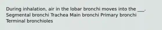 During inhalation, air in the lobar bronchi moves into the ___. Segmental bronchi Trachea Main bronchi Primary bronchi Terminal bronchioles