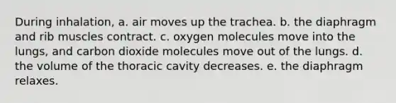 During inhalation, a. air moves up the trachea. b. the diaphragm and rib muscles contract. c. oxygen molecules move into the lungs, and carbon dioxide molecules move out of the lungs. d. the volume of the thoracic cavity decreases. e. the diaphragm relaxes.