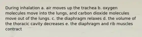 During inhalation a. air moves up the trachea b. oxygen molecules move into the lungs, and carbon dioxide molecules move out of the lungs. c. the diaphragm relaxes d. the volume of the thoracic cavity decreases e. the diaphragm and rib muscles contract