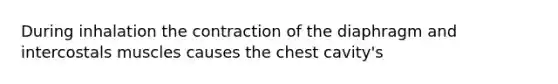 During inhalation the contraction of the diaphragm and intercostals muscles causes the chest cavity's