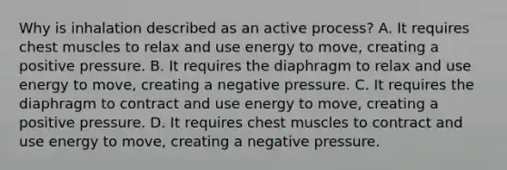 Why is inhalation described as an active​ process? A. It requires chest muscles to relax and use energy to​ move, creating a positive pressure. B. It requires the diaphragm to relax and use energy to​ move, creating a negative pressure. C. It requires the diaphragm to contract and use energy to​ move, creating a positive pressure. D. It requires chest muscles to contract and use energy to​ move, creating a negative pressure.