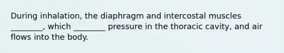 During inhalation, the diaphragm and intercostal muscles ________, which ________ pressure in the thoracic cavity, and air flows into the body.