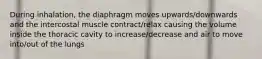 During inhalation, the diaphragm moves upwards/downwards and the intercostal muscle contract/relax causing the volume inside the thoracic cavity to increase/decrease and air to move into/out of the lungs