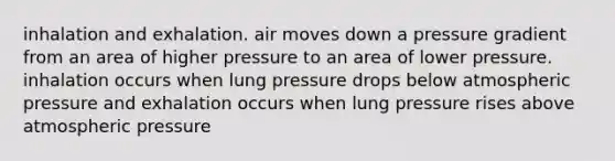 inhalation and exhalation. air moves down a pressure gradient from an area of higher pressure to an area of lower pressure. inhalation occurs when lung pressure drops below atmospheric pressure and exhalation occurs when lung pressure rises above atmospheric pressure