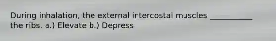 During inhalation, the external intercostal muscles ___________ the ribs. a.) Elevate b.) Depress