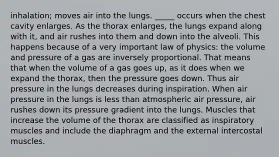 inhalation; moves air into the lungs. _____ occurs when the chest cavity enlarges. As the thorax enlarges, the lungs expand along with it, and air rushes into them and down into the alveoli. This happens because of a very important law of physics: the volume and pressure of a gas are inversely proportional. That means that when the volume of a gas goes up, as it does when we expand the thorax, then the pressure goes down. Thus air pressure in the lungs decreases during inspiration. When air pressure in the lungs is less than atmospheric air pressure, air rushes down its pressure gradient into the lungs. Muscles that increase the volume of the thorax are classified as inspiratory muscles and include the diaphragm and the external intercostal muscles.