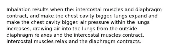 Inhalation results when the: intercostal muscles and diaphragm contract, and make the chest cavity bigger. lungs expand and make the chest cavity bigger. air pressure within the lungs increases, drawing air into the lungs from the outside. diaphragm relaxes and the intercostal muscles contract. intercostal muscles relax and the diaphragm contracts.