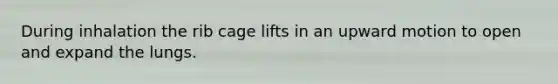 During inhalation the rib cage lifts in an upward motion to open and expand the lungs.