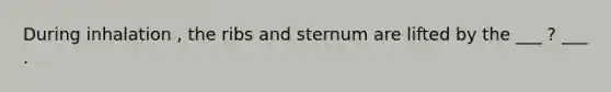 During inhalation , the ribs and sternum are lifted by the ___ ? ___ .