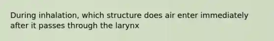 During inhalation, which structure does air enter immediately after it passes through the larynx