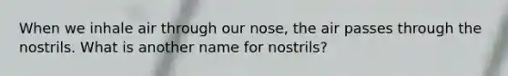 When we inhale air through our nose, the air passes through the nostrils. What is another name for nostrils?