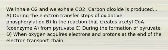 We inhale O2 and we exhale CO2. Carbon dioxide is produced... A) During the electron transfer steps of oxidative phosphorylation B) In the reaction that creates acetyl CoA (coenzyme A) from pyruvate C) During the formation of pyruvate D) When oxygen acquires electrons and protons at the end of the electron transport chain