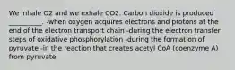 We inhale O2 and we exhale CO2. Carbon dioxide is produced __________. -when oxygen acquires electrons and protons at the end of the electron transport chain -during the electron transfer steps of oxidative phosphorylation -during the formation of pyruvate -in the reaction that creates acetyl CoA (coenzyme A) from pyruvate