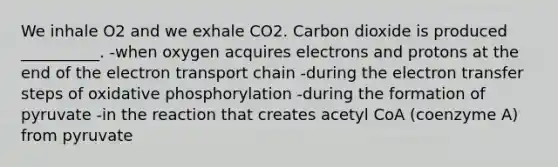 We inhale O2 and we exhale CO2. Carbon dioxide is produced __________. -when oxygen acquires electrons and protons at the end of the electron transport chain -during the electron transfer steps of oxidative phosphorylation -during the formation of pyruvate -in the reaction that creates acetyl CoA (coenzyme A) from pyruvate