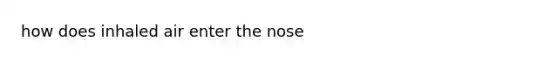 how does inhaled air enter the nose