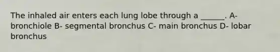 The inhaled air enters each lung lobe through a ______. A- bronchiole B- segmental bronchus C- main bronchus D- lobar bronchus