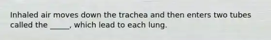 Inhaled air moves down the trachea and then enters two tubes called the _____, which lead to each lung.