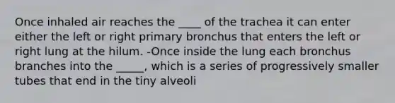 Once inhaled air reaches the ____ of the trachea it can enter either the left or right primary bronchus that enters the left or right lung at the hilum. -Once inside the lung each bronchus branches into the _____, which is a series of progressively smaller tubes that end in the tiny alveoli