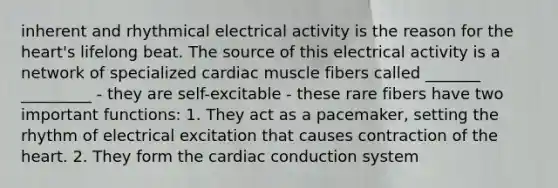 inherent and rhythmical electrical activity is the reason for <a href='https://www.questionai.com/knowledge/kya8ocqc6o-the-heart' class='anchor-knowledge'>the heart</a>'s lifelong beat. The source of this electrical activity is a network of specialized cardiac muscle fibers called _______ _________ - they are self-excitable - these rare fibers have two important functions: 1. They act as a pacemaker, setting the rhythm of electrical excitation that causes contraction of the heart. 2. They form the <a href='https://www.questionai.com/knowledge/km9HYGGeec-cardiac-conduction' class='anchor-knowledge'>cardiac conduction</a> system