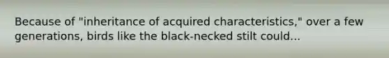 Because of "inheritance of acquired characteristics," over a few generations, birds like the black-necked stilt could...