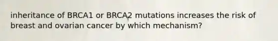 inheritance of BRCA1 or BRCA2 mutations increases the risk of breast and ovarian cancer by which mechanism?