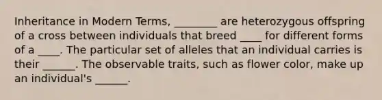 Inheritance in Modern Terms, ________ are heterozygous offspring of a cross between individuals that breed ____ for different forms of a ____. The particular set of alleles that an individual carries is their ______. The observable traits, such as flower color, make up an individual's ______.