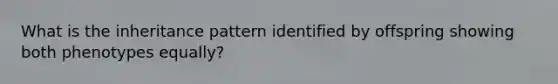 What is the inheritance pattern identified by offspring showing both phenotypes equally?