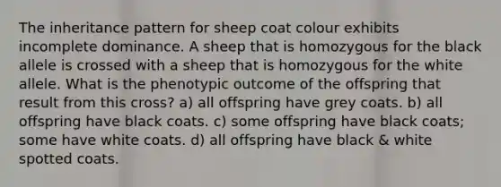 The inheritance pattern for sheep coat colour exhibits incomplete dominance. A sheep that is homozygous for the black allele is crossed with a sheep that is homozygous for the white allele. What is the phenotypic outcome of the offspring that result from this cross? a) all offspring have grey coats. b) all offspring have black coats. c) some offspring have black coats; some have white coats. d) all offspring have black & white spotted coats.