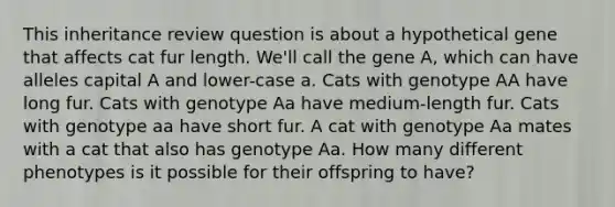 This inheritance review question is about a hypothetical gene that affects cat fur length. We'll call the gene A, which can have alleles capital A and lower-case a. Cats with genotype AA have long fur. Cats with genotype Aa have medium-length fur. Cats with genotype aa have short fur. A cat with genotype Aa mates with a cat that also has genotype Aa. How many different phenotypes is it possible for their offspring to have?