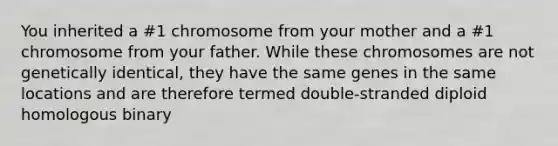 You inherited a #1 chromosome from your mother and a #1 chromosome from your father. While these chromosomes are not genetically identical, they have the same genes in the same locations and are therefore termed double-stranded diploid homologous binary