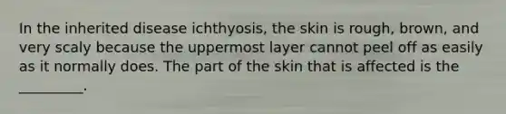 In the inherited disease ichthyosis, the skin is rough, brown, and very scaly because the uppermost layer cannot peel off as easily as it normally does. The part of the skin that is affected is the _________.