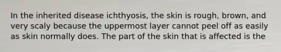 In the inherited disease ichthyosis, the skin is rough, brown, and very scaly because the uppermost layer cannot peel off as easily as skin normally does. The part of the skin that is affected is the