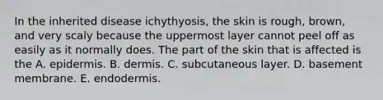 In the inherited disease ichythyosis, the skin is rough, brown, and very scaly because the uppermost layer cannot peel off as easily as it normally does. The part of the skin that is affected is the A. epidermis. B. dermis. C. subcutaneous layer. D. basement membrane. E. endodermis.