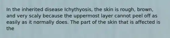 In the inherited disease Ichythyosis, the skin is rough, brown, and very scaly because the uppermost layer cannot peel off as easily as it normally does. The part of the skin that is affected is the