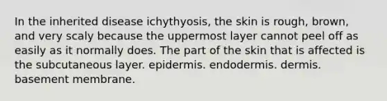 In the inherited disease ichythyosis, the skin is rough, brown, and very scaly because the uppermost layer cannot peel off as easily as it normally does. The part of the skin that is affected is the subcutaneous layer. epidermis. endodermis. dermis. basement membrane.