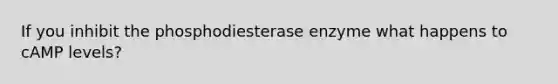 If you inhibit the phosphodiesterase enzyme what happens to cAMP levels?