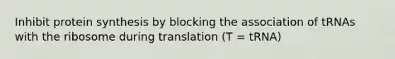 Inhibit protein synthesis by blocking the association of tRNAs with the ribosome during translation (T = tRNA)