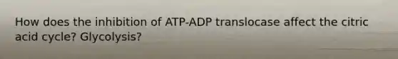 How does the inhibition of ATP-ADP translocase affect the citric acid cycle? Glycolysis?