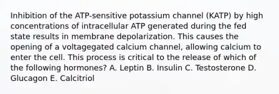 Inhibition of the ATP-sensitive potassium channel (KATP) by high concentrations of intracellular ATP generated during the fed state results in membrane depolarization. This causes the opening of a voltagegated calcium channel, allowing calcium to enter the cell. This process is critical to the release of which of the following hormones? A. Leptin B. Insulin C. Testosterone D. Glucagon E. Calcitriol