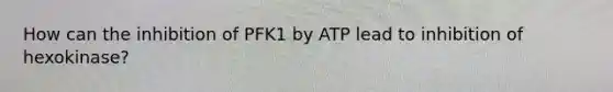 How can the inhibition of PFK1 by ATP lead to inhibition of hexokinase?