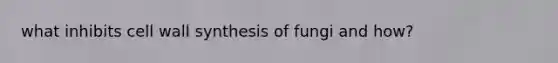 what inhibits cell wall synthesis of fungi and how?