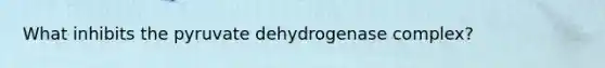 What inhibits the pyruvate dehydrogenase complex?