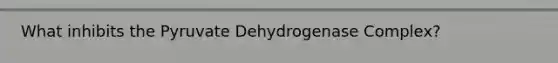 What inhibits the Pyruvate Dehydrogenase Complex?