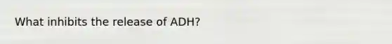 What inhibits the release of ADH?